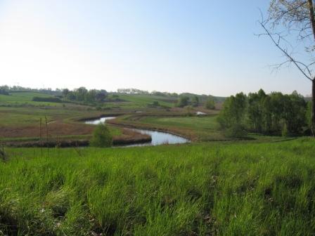 Krajobraz przy Hotelu SAK nad Łyną widok na pola i zielone łąki z rzeką.