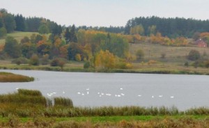 Jesień w okolicy Olsztyna rekreacyjny teren